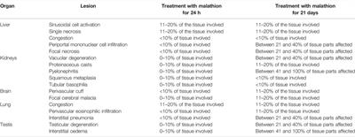 Toxicological Effects of Malathion at Low Dose on Wister Male Rats With Respect to Biochemical and Histopathological Alterations